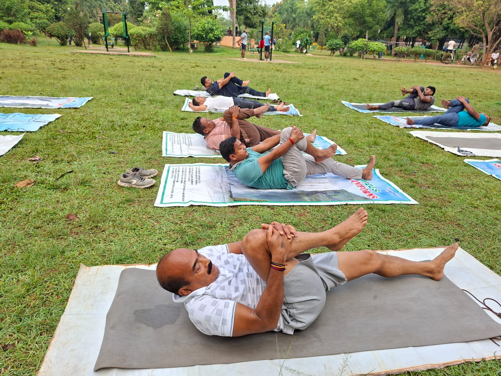 Yoga and wellness activity